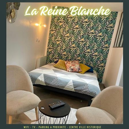 Studio La Reine Blanche - 4Pers - Rdc Apartment Bourges Exterior foto