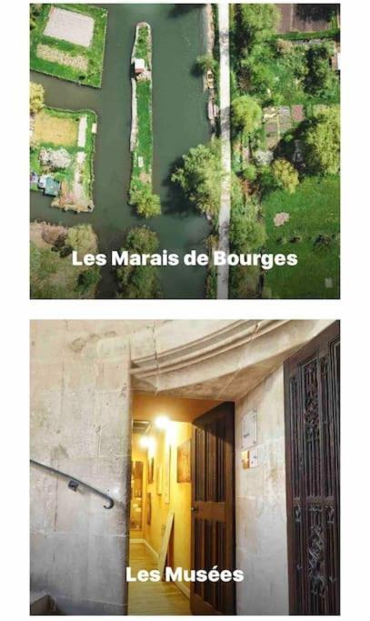 Studio La Reine Blanche - 4Pers - Rdc Apartment Bourges Exterior foto